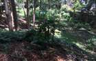 Residential Land in Westlands Area - 5