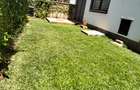5 Bed Townhouse with En Suite in Westlands Area - 19