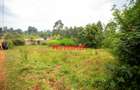0.1 ha Residential Land in Kikuyu Town - 2