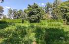 1.1 ac Land in Karen - 3
