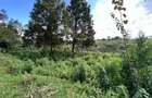 Land in Tigoni - 6