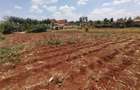 Residential Land in Kiambu Road - 5