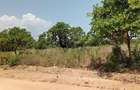 4 ac Land at Matsangoni - 1