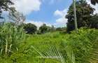 0.5 ac Land at Muthithi Gardens - 3