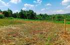 700 m² Residential Land at Green View Estate - 9