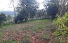 0.125 ac Land in Limuru - 2