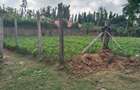 0.25 ac Land at Ls221 - 3