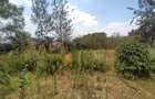 Residential Land at Matasia - 7