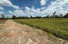 0.125 ac Residential Land at Kiserian - 2