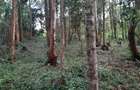 0.5 ac Residential Land at Old Kitisuru - 12