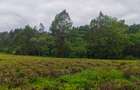 0.75 ac Land at Riara Ridge Area - 8