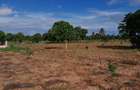 13 ac Land at Majaoni - 1