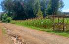 2,832.8 ac Land in Thindigua - 9