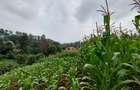 Residential Land at Kitisuru Ridge 44 - 18