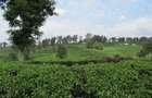 Land in Kiambu Town - 5