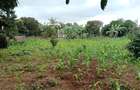 Land at Mimosa Road - 4