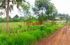 0.5 ha Commercial Land at Ondiri - 6