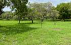 Land in Kilifi - 5