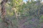 10 ac Land in Nanyuki - 4