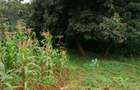 0.3 ac Residential Land at Kikuyu Road - 7