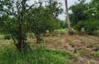 1 ac Land in Kikambala - 1