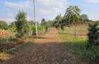 0.5 ac Land in Runda - 1