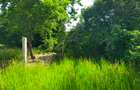 Land in Kilifi County - 15