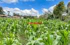 7.5 ac Land in Kikuyu Town - 12