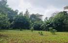 0.5 ac Land in Runda - 2