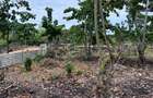 505.9 m² Land at Galu Kinondo - 3
