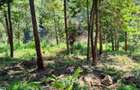 0.5 ac Land at Kirawa Road - 1