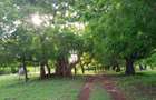 90 ac Residential Land at Kuruwitu-Vipingo - 16