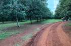 50 ft² Residential Land at Juja - 10