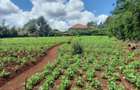 1 ac Residential Land in Runda - 3