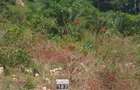 1,000 m² Residential Land at Vipingo - Kuruwitu - 15