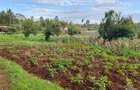 4,000 m² Land in Limuru - 4