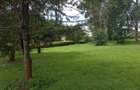1 ac Residential Land in Karen - 14