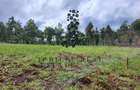 50 ac Land in Lower Kabete - 1