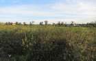 15 ac Land at Off Nairobi-Nakuru Rd - 2