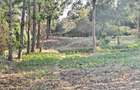 0.3 ac Land at Kabiria - 3