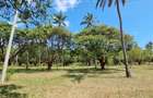 6 ac Land at Mtwapa - 10