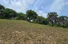1.2 ac Land at Mtwapa Creekside - 16