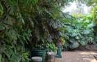 Furnished 1 Bed Apartment with Backup Generator in Runda - 4
