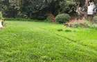 Land in Kilimani - 3