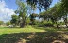 7 ac Commercial Land at Shanzu Beach - Overlooking Mtwapa Creek - 13