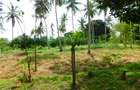 8 ac Land in Kikambala - 9