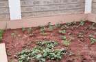 4 Bed House with En Suite at Ruiru - 9