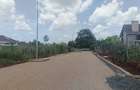 0.05 ac Land at Mushroom Kagera - 12