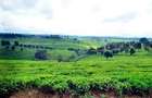 20 ac Land at Riara Ridge - 3