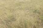Land in Athi River - 7